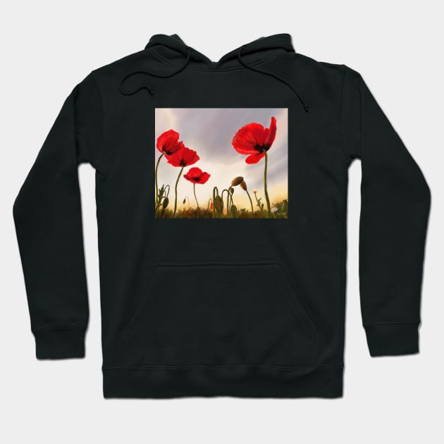 Poppies Hoodie by Saryetta